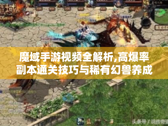 魔域手游视频全解析,高爆率副本通关技巧与稀有幻兽养成指南