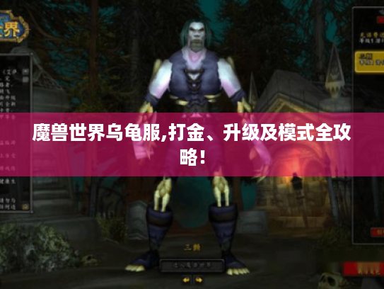 魔兽世界乌龟服,打金、升级及模式全攻略！