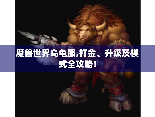 魔兽世界乌龟服,打金、升级及模式全攻略！