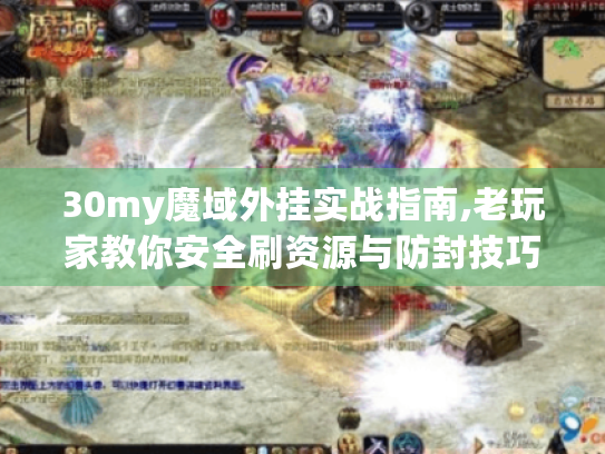 30my魔域外挂实战指南,老玩家教你安全刷资源与防封技巧