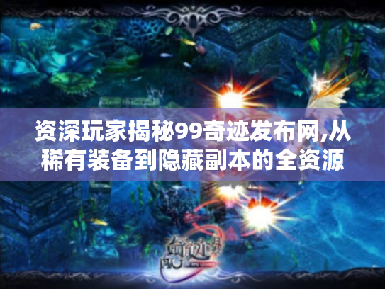资深玩家揭秘99奇迹发布网,从稀有装备到隐藏副本的全资源指南