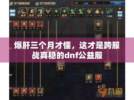 爆肝三个月才懂，这才是跨服战真稳的dnf公益服