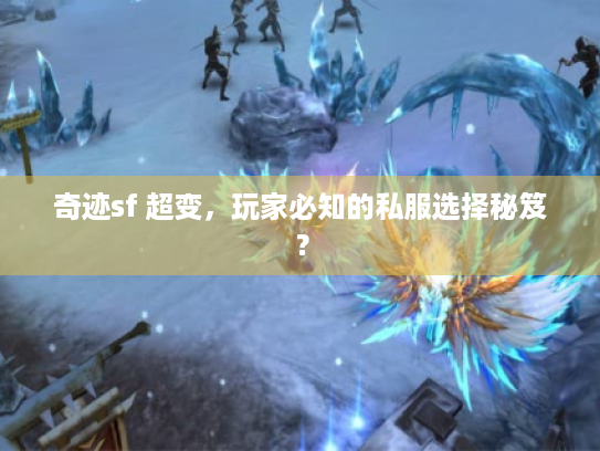 奇迹sf 超变，玩家必知的私服选择秘笈？