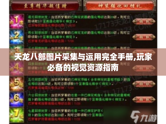 天龙八部图片采集与运用完全手册,玩家必备的视觉资源指南