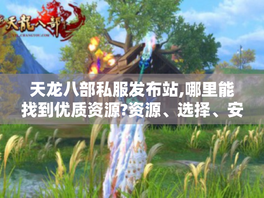 天龙八部私服发布站,哪里能找到优质资源?资源、选择、安全全解析！