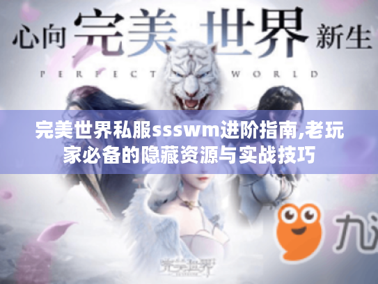 完美世界私服ssswm进阶指南,老玩家必备的隐藏资源与实战技巧