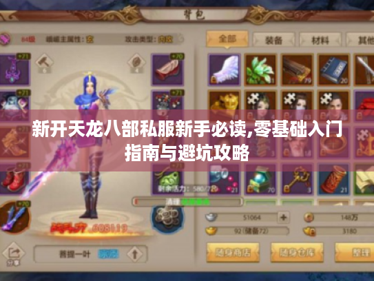 新开天龙八部私服新手必读,零基础入门指南与避坑攻略