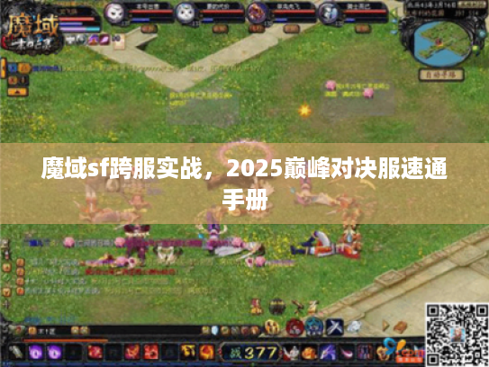 魔域sf跨服实战，2025巅峰对决服速通手册