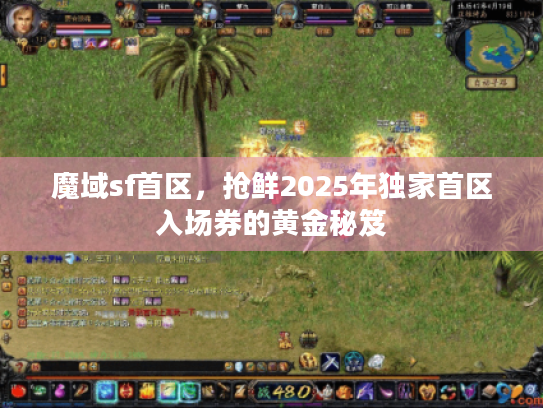 魔域sf首区，抢鲜2025年独家首区入场券的黄金秘笈