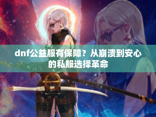 dnf公益服有保障？从崩溃到安心的私服选择革命