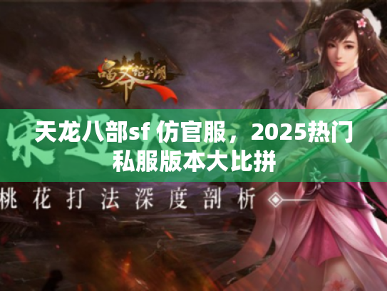 天龙八部sf 仿官服，2025热门私服版本大比拼