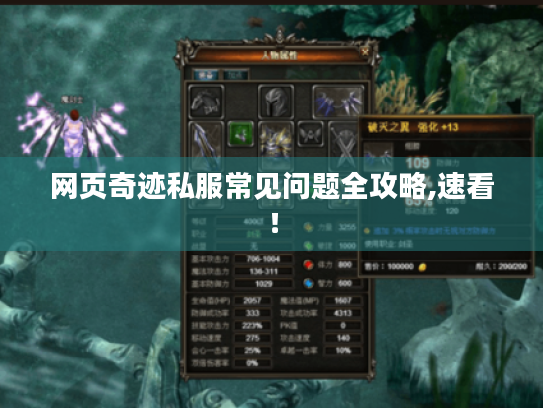 网页奇迹私服常见问题全攻略,速看！