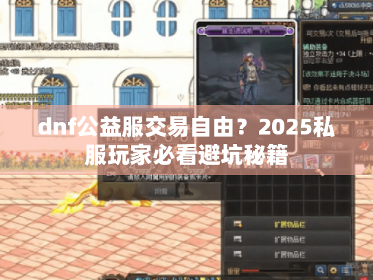 dnf公益服交易自由？2025私服玩家必看避坑秘籍