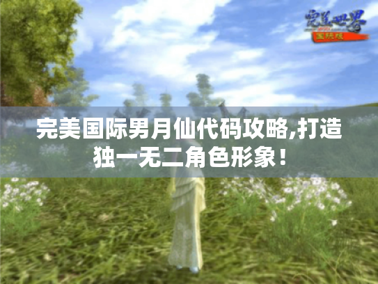 完美国际男月仙代码攻略,打造独一无二角色形象！