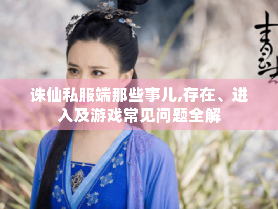 诛仙私服端那些事儿,存在、进入及游戏常见问题全解