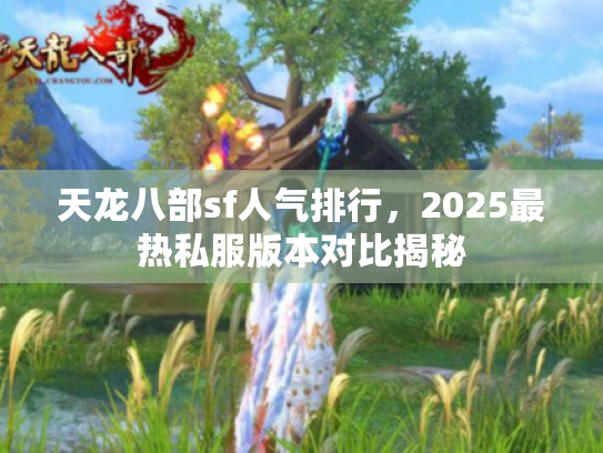 天龙八部sf人气排行，2025最热私服版本对比揭秘