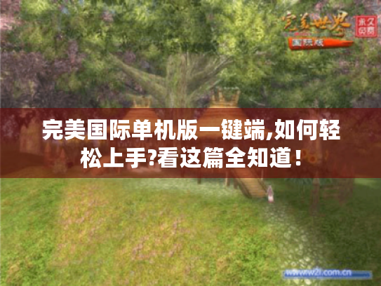 完美国际单机版一键端,如何轻松上手?看这篇全知道！