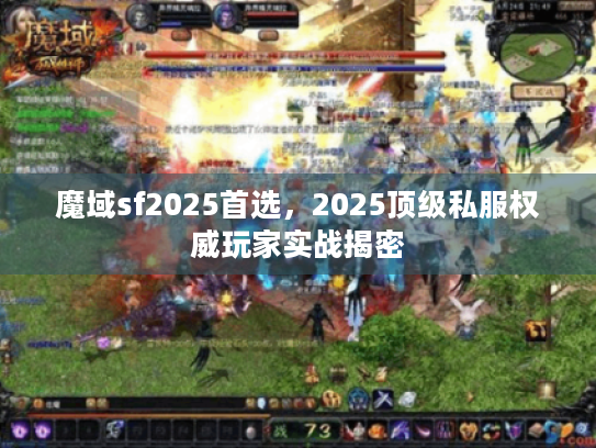 魔域sf2025首选，2025顶级私服权威玩家实战揭密