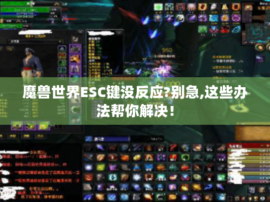 魔兽世界ESC键没反应?别急,这些办法帮你解决！