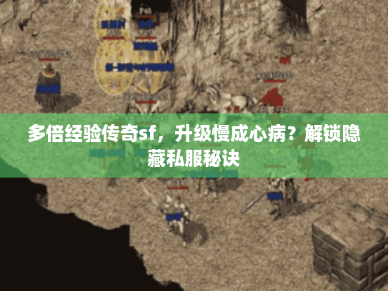 多倍经验传奇sf，升级慢成心病？解锁隐藏私服秘诀