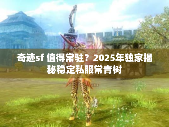 奇迹sf 值得常驻？2025年独家揭秘稳定私服常青树