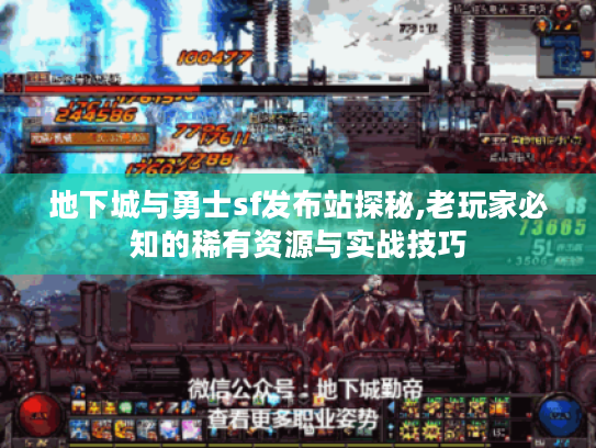 地下城与勇士sf发布站探秘,老玩家必知的稀有资源与实战技巧
