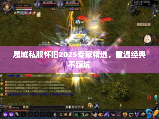 魔域私服怀旧2025专家精选，重温经典不踩坑