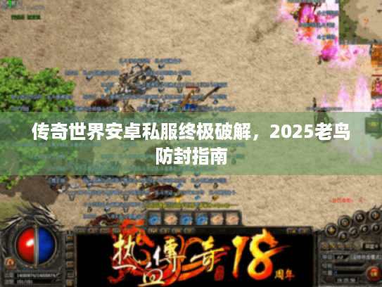 传奇世界安卓私服终极破解，2025老鸟防封指南