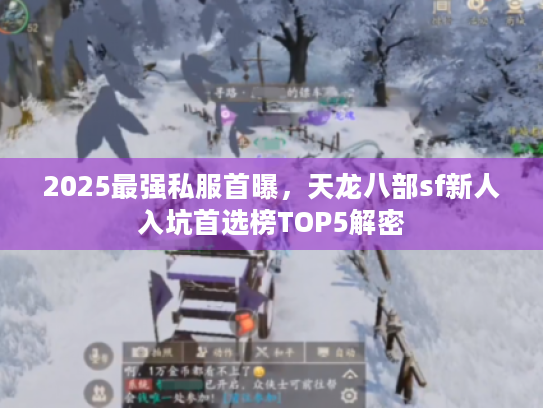 2025最强私服首曝，天龙八部sf新人入坑首选榜TOP5解密