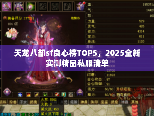 天龙八部sf良心榜TOP5，2025全新实测精品私服清单