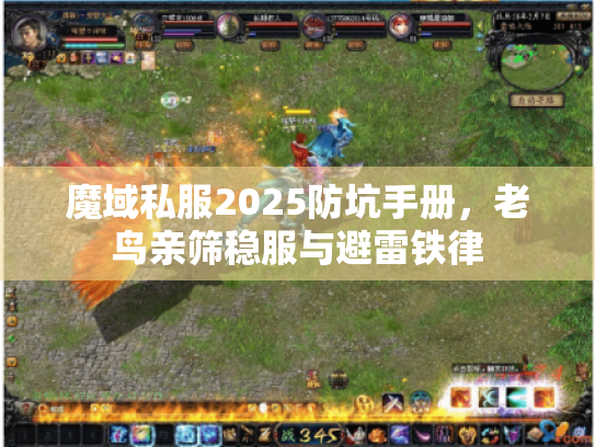 魔域私服2025防坑手册，老鸟亲筛稳服与避雷铁律