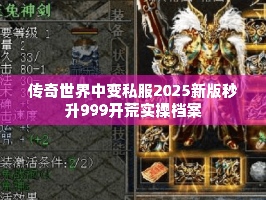传奇世界中变私服2025新版秒升999开荒实操档案