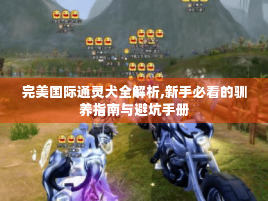 完美国际通灵犬全解析,新手必看的驯养指南与避坑手册 完美国际通灵犬全解析,新手必看的驯养指南与避坑手册