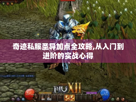 奇迹私服圣导加点全攻略,从入门到进阶的实战心得