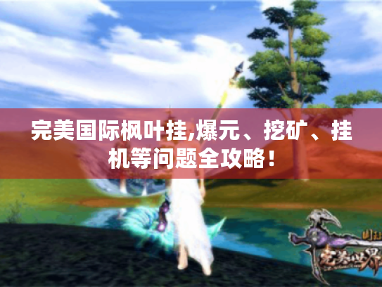 完美国际枫叶挂,爆元、挖矿、挂机等问题全攻略! 完美国际枫叶挂,爆元、挖矿、挂机等问题全攻略!