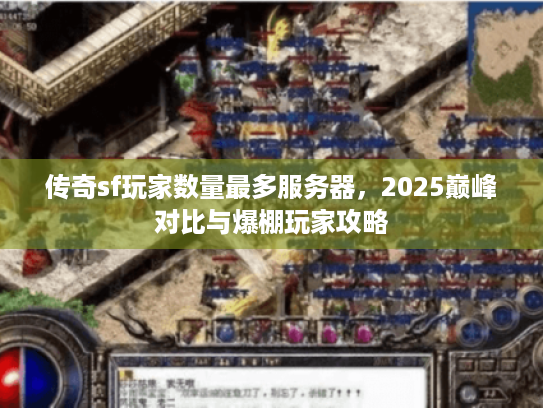 传奇sf玩家数量最多服务器，2025巅峰对比与爆棚玩家攻略