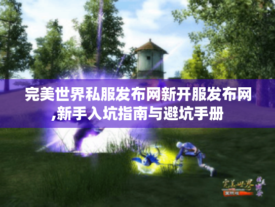 完美世界私服发布网新开服发布网,新手入坑指南与避坑手册