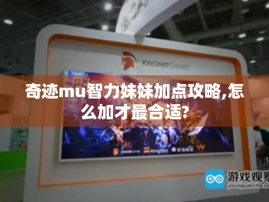奇迹mu智力妹妹加点攻略,怎么加才最合适?