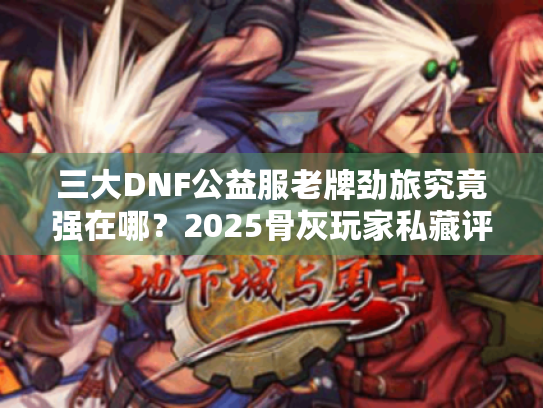 三大DNF公益服老牌劲旅究竟强在哪?2025骨灰玩家私藏评测 三大DNF公益服老牌劲旅究竟强在哪?2025骨灰玩家私藏评测