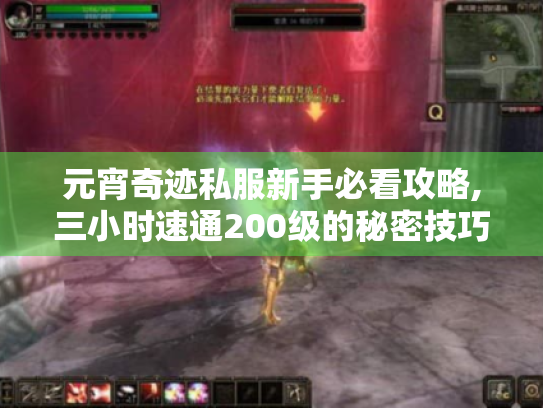 元宵奇迹私服新手必看攻略,三小时速通200级的秘密技巧