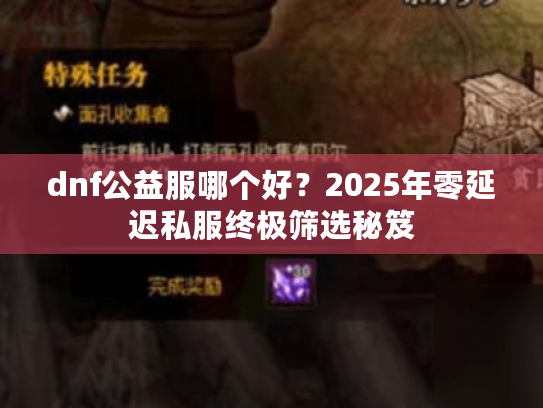 dnf公益服哪个好？2025年零延迟私服终极筛选秘笈