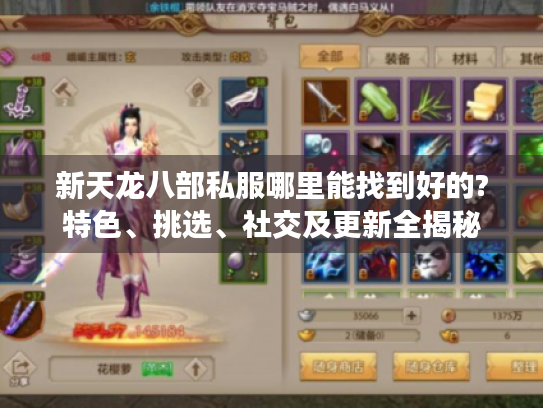 新天龙八部私服哪里能找到好的?特色、挑选、社交及更新全揭秘