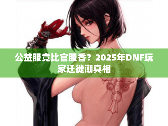 公益服竟比官服香？2025年DNF玩家迁徙潮真相