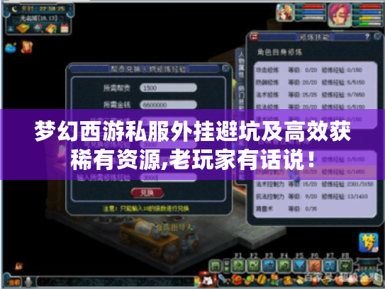 梦幻西游私服外挂避坑及高效获稀有资源,老玩家有话说！