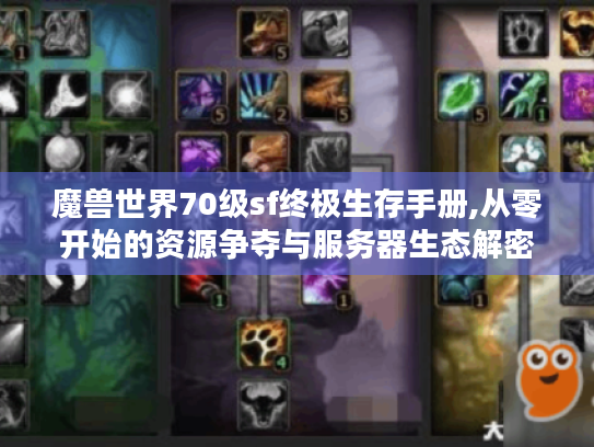 魔兽世界70级sf终极生存手册,从零开始的资源争夺与服务器生态解密