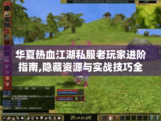 华夏热血江湖私服老玩家进阶指南,隐藏资源与实战技巧全解析
