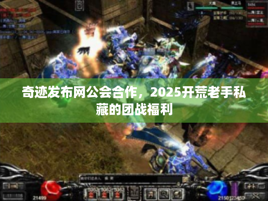 奇迹发布网公会合作，2025开荒老手私藏的团战福利