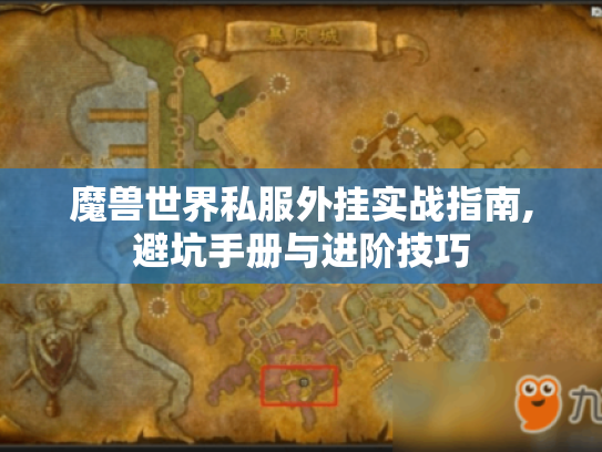 魔兽世界私服外挂实战指南,避坑手册与进阶技巧 魔兽世界私服外挂实战指南,避坑手册与进阶技巧