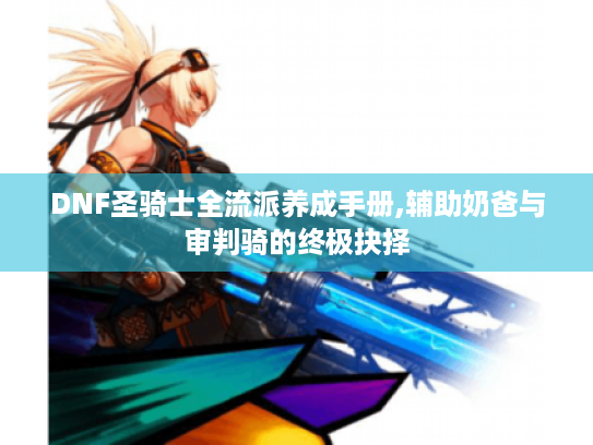 DNF圣骑士全流派养成手册,辅助奶爸与审判骑的终极抉择
