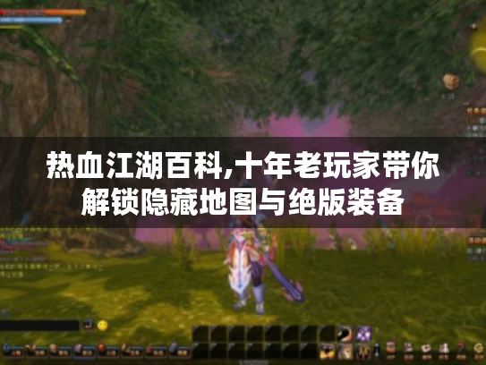 热血江湖百科,十年老玩家带你解锁隐藏地图与绝版装备